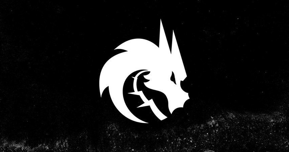 Team Spirit обвинила forZe в попытке переманить одного из игроков