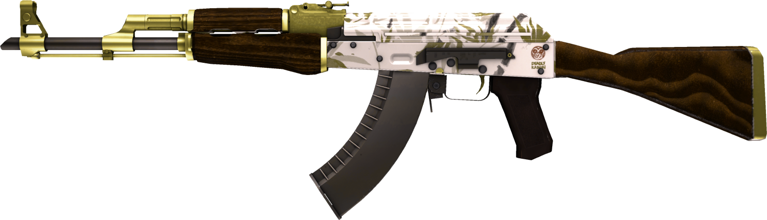 The rarest skins for AK-47 3