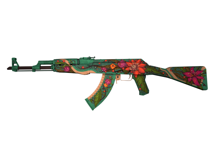 The rarest skins for AK-47