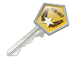 Winter Offensive Case Key