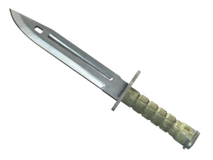 ★ StatTrak™ Bayonet