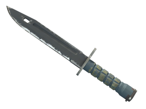 ★ StatTrak™ Bayonet | Night (Field-Tested)