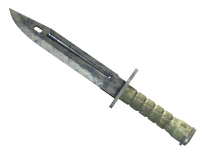 ★ StatTrak™ Bayonet | Stained (Well-Worn)