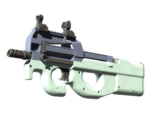 P90 | Storm (Factory New)