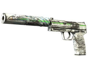 Souvenir USP-S | Road Rash (Field-Tested)