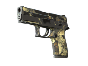 P250 | Contamination (Battle-Scarred)