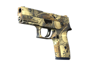 P250 | Contamination (Factory New)