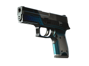 StatTrak™ P250 | Valence (Well-Worn)