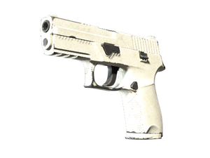 P250 | Whiteout (Field-Tested)