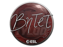 Sticker | BnTeT | Katowice 2019