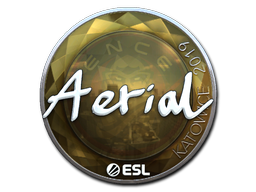 Sticker | Aerial (Foil) | Katowice 2019