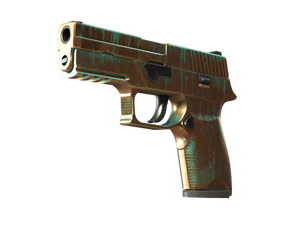 P250 | Verdigris (Factory New)