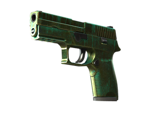 P250 | Verdigris (Battle-Scarred)