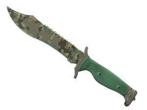 ★ Bowie Knife | Boreal Forest (Well-Worn)