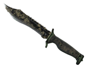 ★ Bowie Knife | Forest DDPAT (Battle-Scarred)