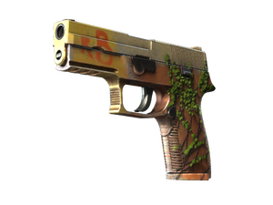 P250 | Inferno (Minimal Wear)