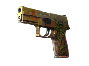 P250 | Inferno (Well-Worn)