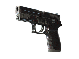 P250 | Dark Filigree (Well-Worn)