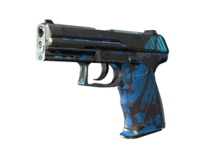 P2000 | Oceanic (Battle-Scarred)