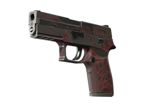 P250 | Contaminant (Battle-Scarred)