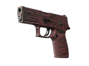 StatTrak™ P250 | Contaminant (Field-Tested)