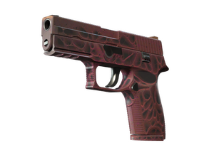 StatTrak™ P250 | Contaminant (Factory New)