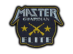 Patch | Metal Master Guardian Elite