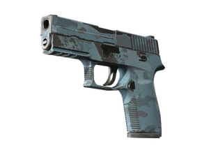 P250 | Forest Night (Well-Worn)