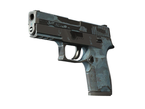 P250 | Forest Night (Battle-Scarred)