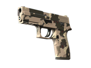 P250 | Black & Tan (Factory New)