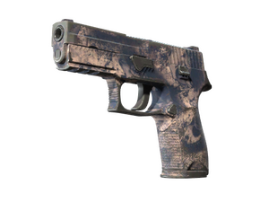 P250 | Drought (Field-Tested)