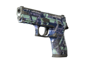 P250 | Digital Architect (Battle-Scarred)