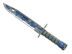 ★ Bayonet | Bright Water (Battle-Scarred)