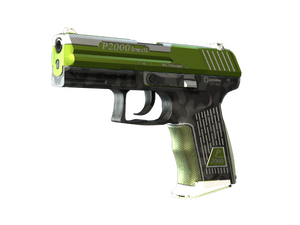 StatTrak™ P2000 | Turf (Minimal Wear)