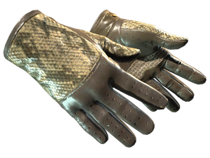 ★ Driver Gloves | Diamondback (Field-Tested)