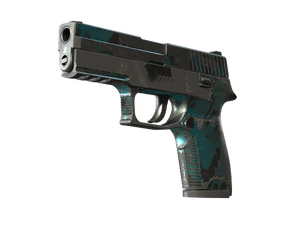 StatTrak™ P250 | Ripple (Battle-Scarred)