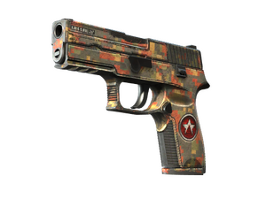 P250 | Red Rock (Battle-Scarred)