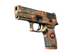 StatTrak™ P250 | Red Rock (Field-Tested)