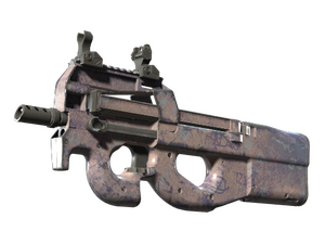 P90 | Wash me (Well-Worn)