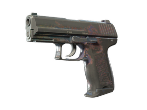 P2000 | Coral Halftone (Battle-Scarred)