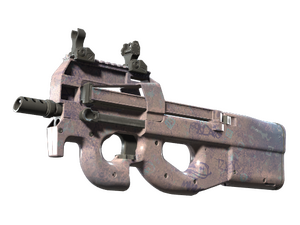 P90 | Wash me (Minimal Wear)