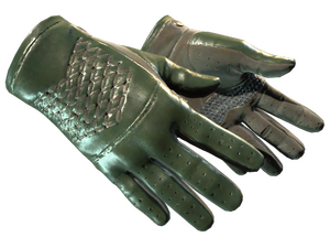 ★ Driver Gloves | Racing Green (Minimal Wear)