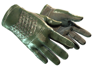 ★ Driver Gloves | Racing Green (Field-Tested)