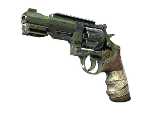 R8 Revolver | Survivalist (Battle-Scarred)