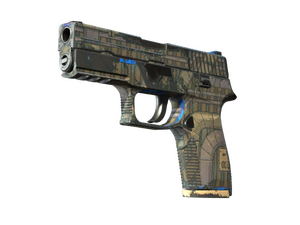 Souvenir P250 | Exchanger (Well-Worn)