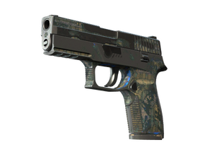 P250 | Exchanger (Battle-Scarred)