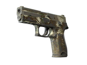 P250 | Bone Mask (Battle-Scarred)