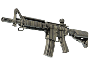 StatTrak™ M4A4 | Faded Zebra (Field-Tested)