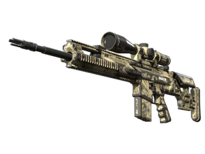 SCAR-20 | Palm (Battle-Scarred)