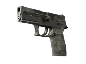 P250 | Facets (Battle-Scarred)